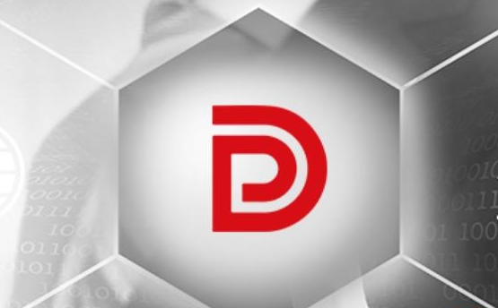 dp是什麽貨幣（DP是什麽幣種）