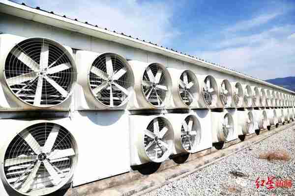 “挖鑛”究竟有多耗電？內矇古擬清退比特幣鑛場，鑛主已開始轉移