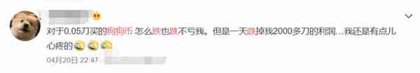 暴漲後又跳水，起底狗狗幣，是“神話”還是“泡沫”？