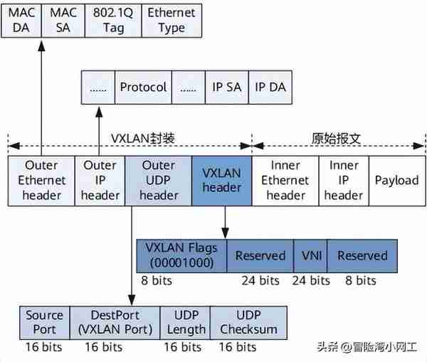 VXLAN基礎知識