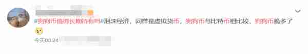 暴漲後又跳水,起底狗狗幣,是“神話”還是“泡沫”?